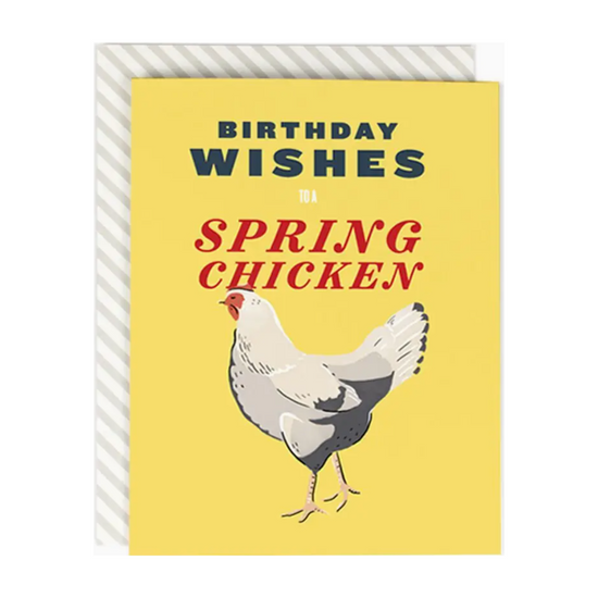 Spring Chicken Birthday Card by Amy Heitman
