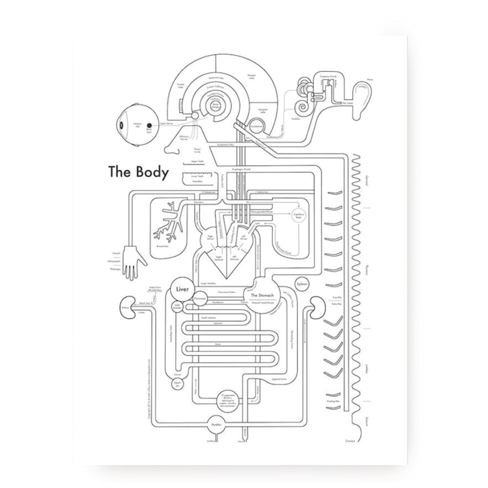 The Body Letterpress Print by Archie's Press