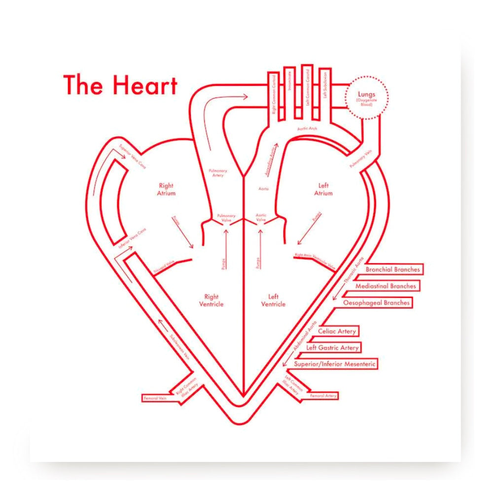 Heart Letterpress Print by Archie's Press