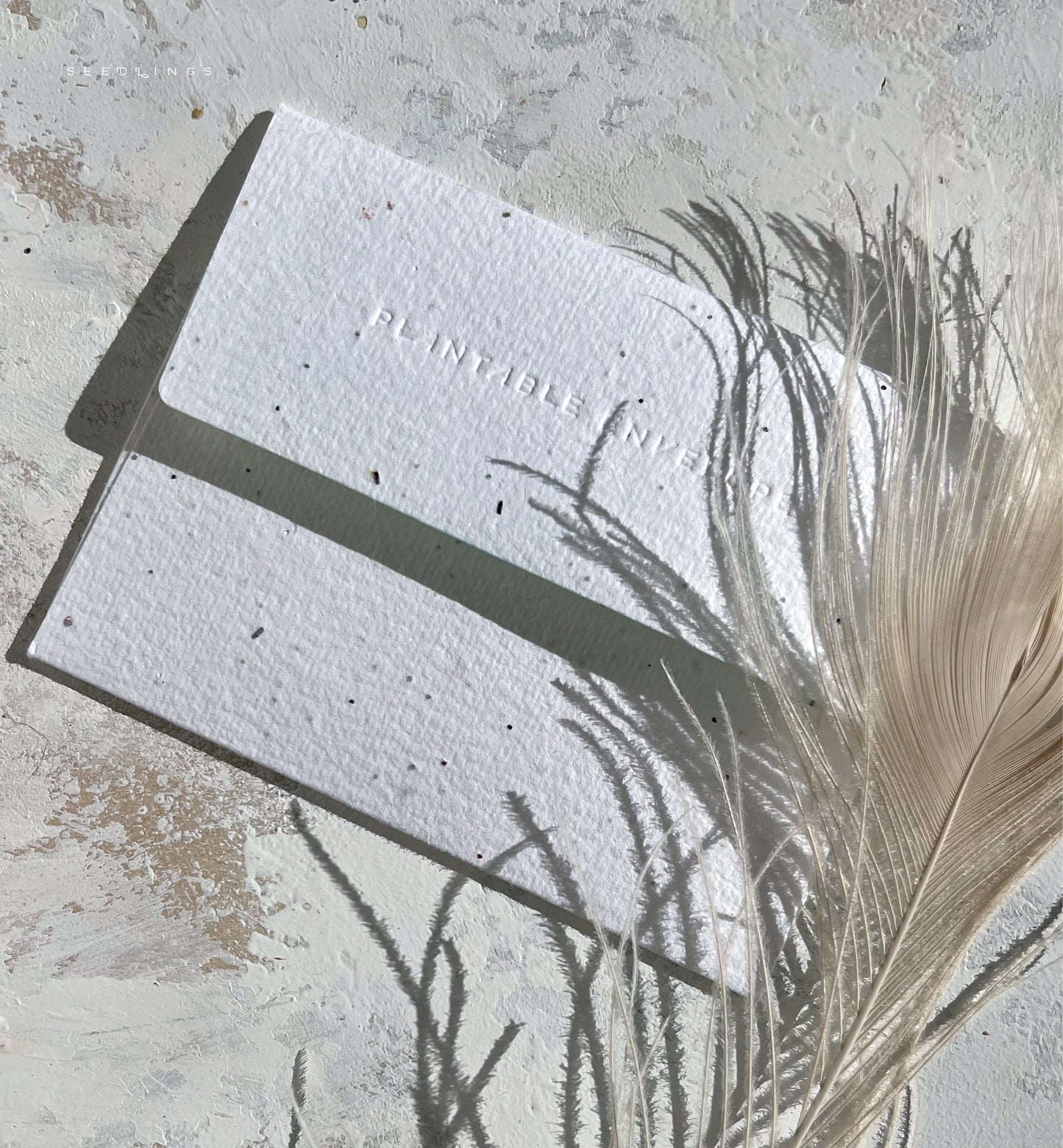 Little Treat Card by Seedlings