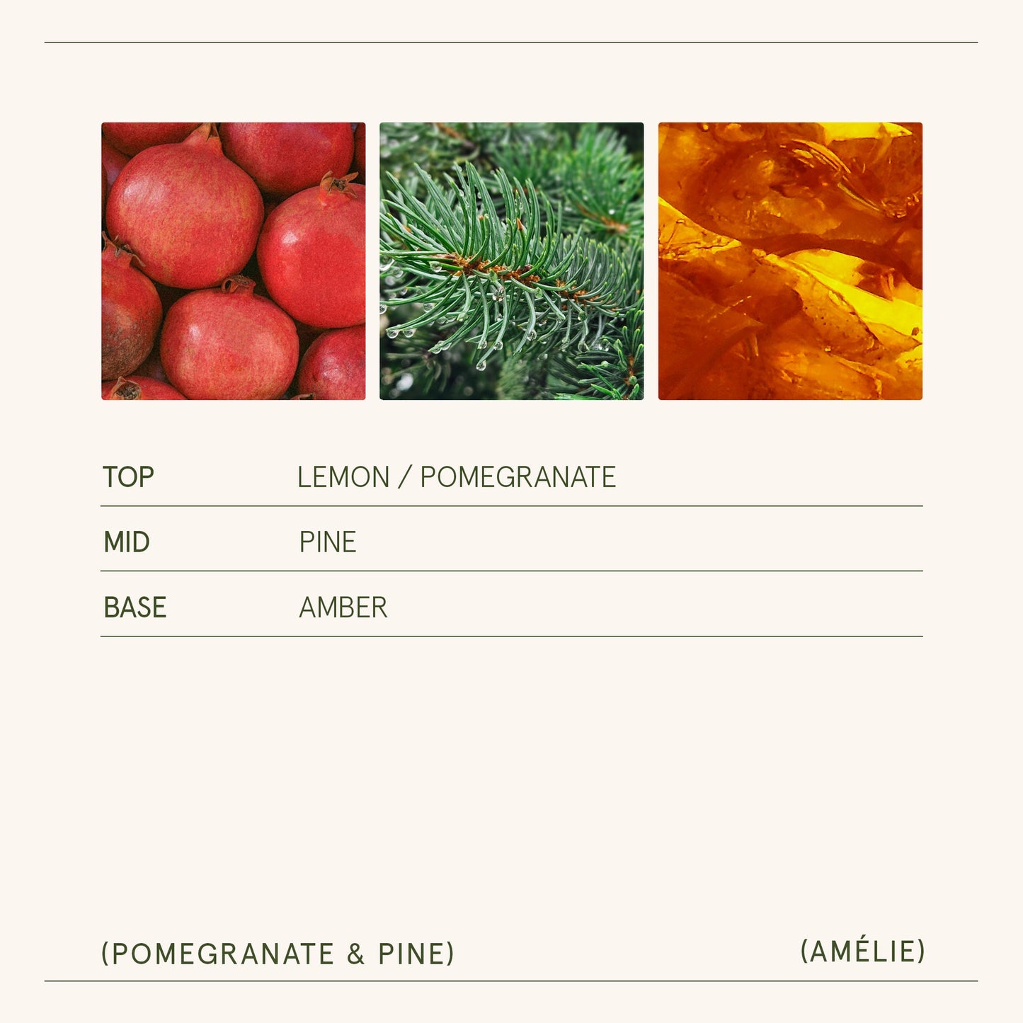Pomegranate & Pine Amélie Candle