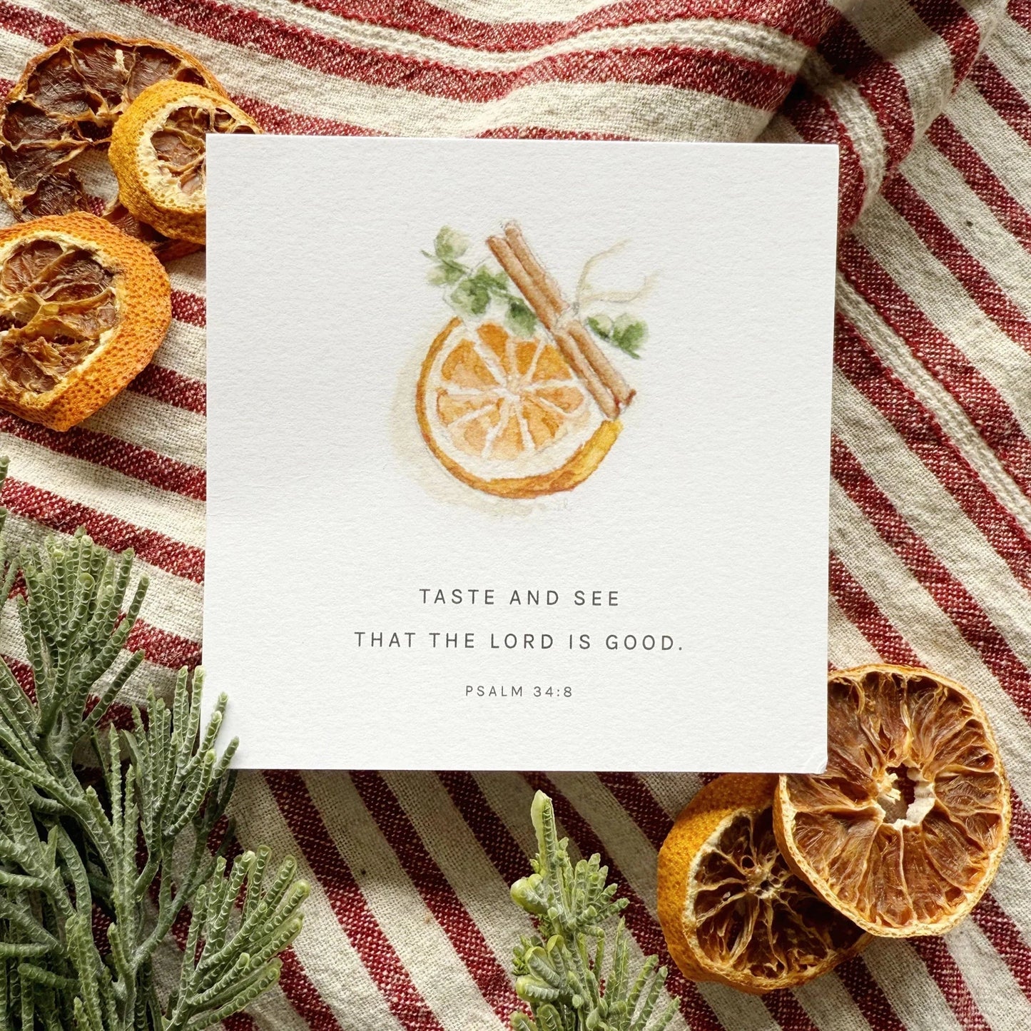 Truth For Today Christmas Scripture Cards