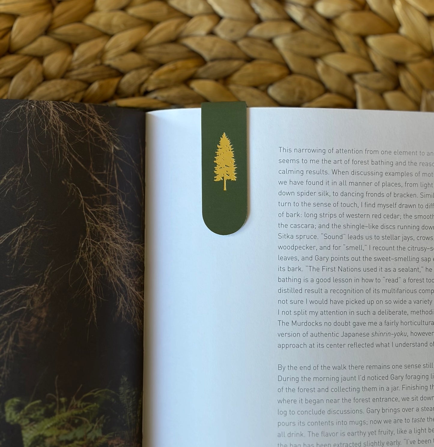 Blue Spruce Tree Magnetic Bookmark