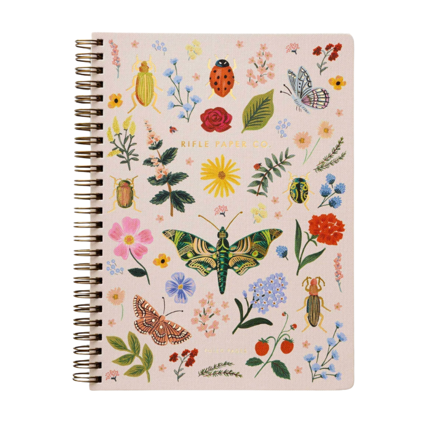 Curio Spiral Notebook
