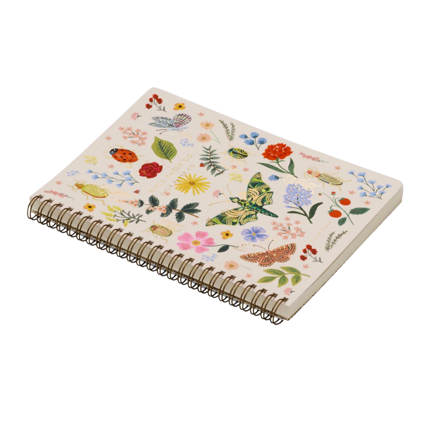 Curio Spiral Notebook
