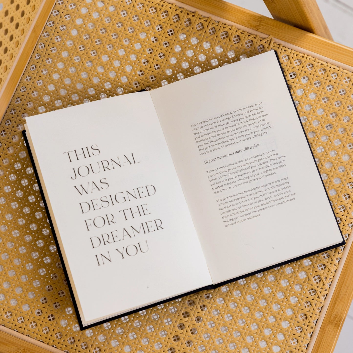 Bedside Business Plan Guided Idea Journal