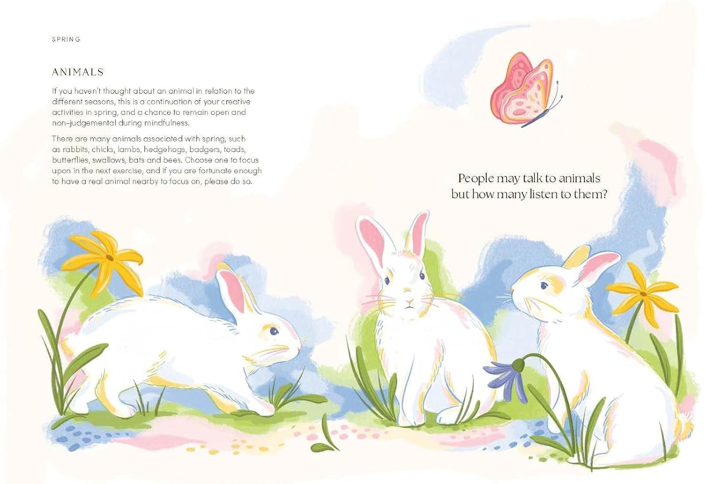 The Mindfulness Year