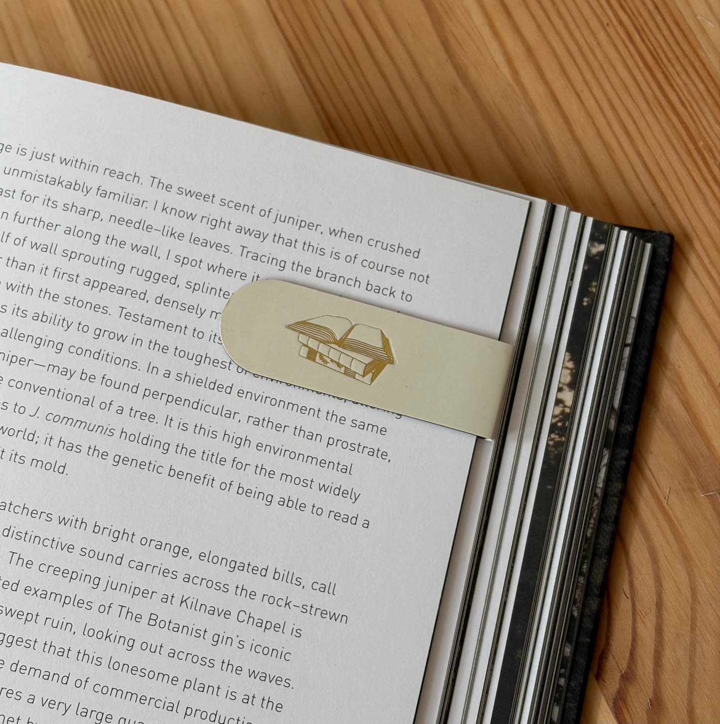 Book Lover Magnetic Bookmark