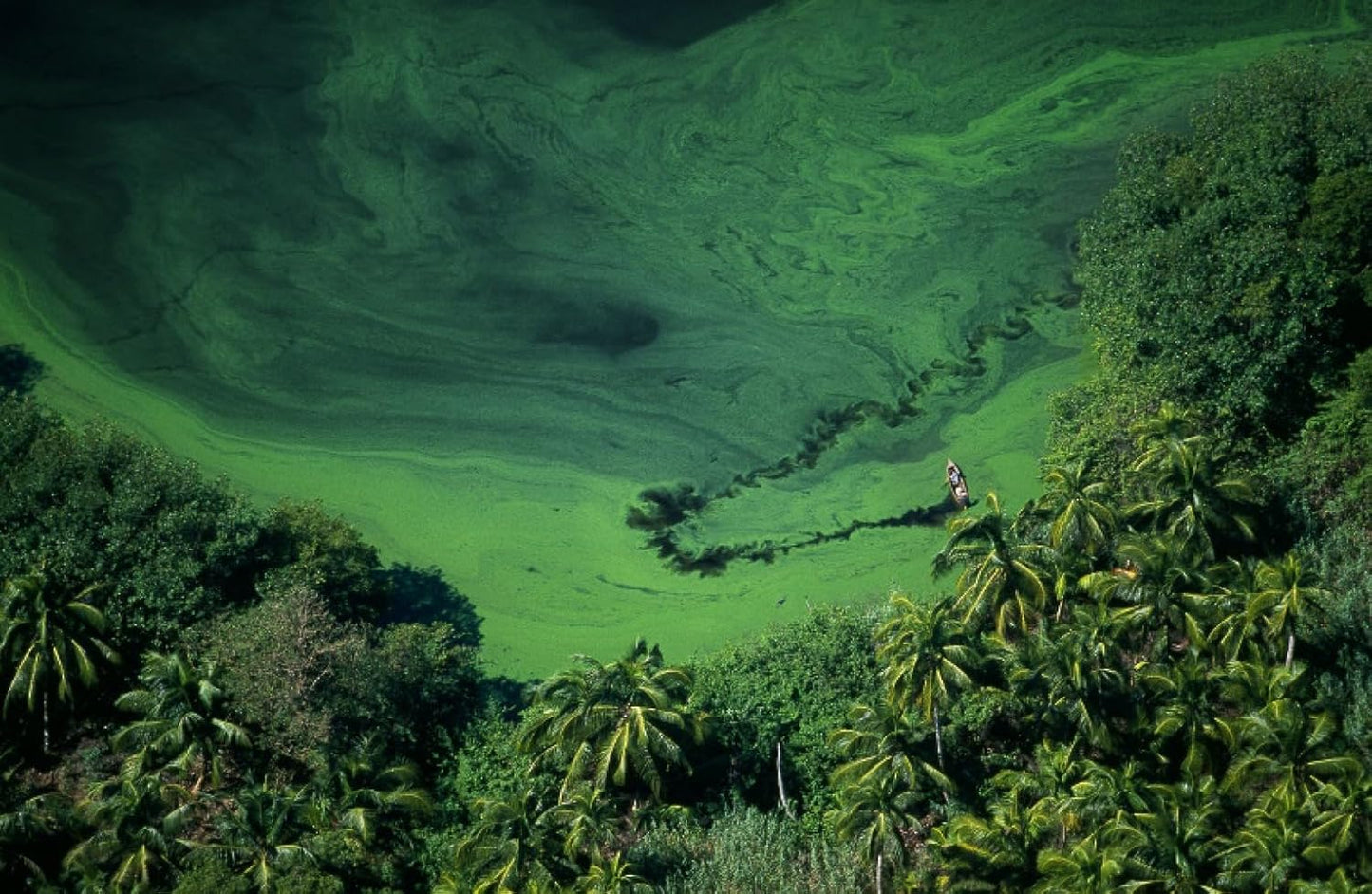 Freshwater