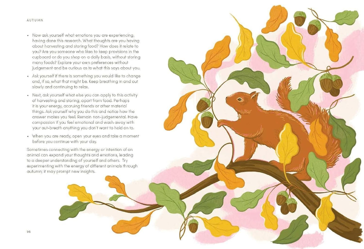 The Mindfulness Year