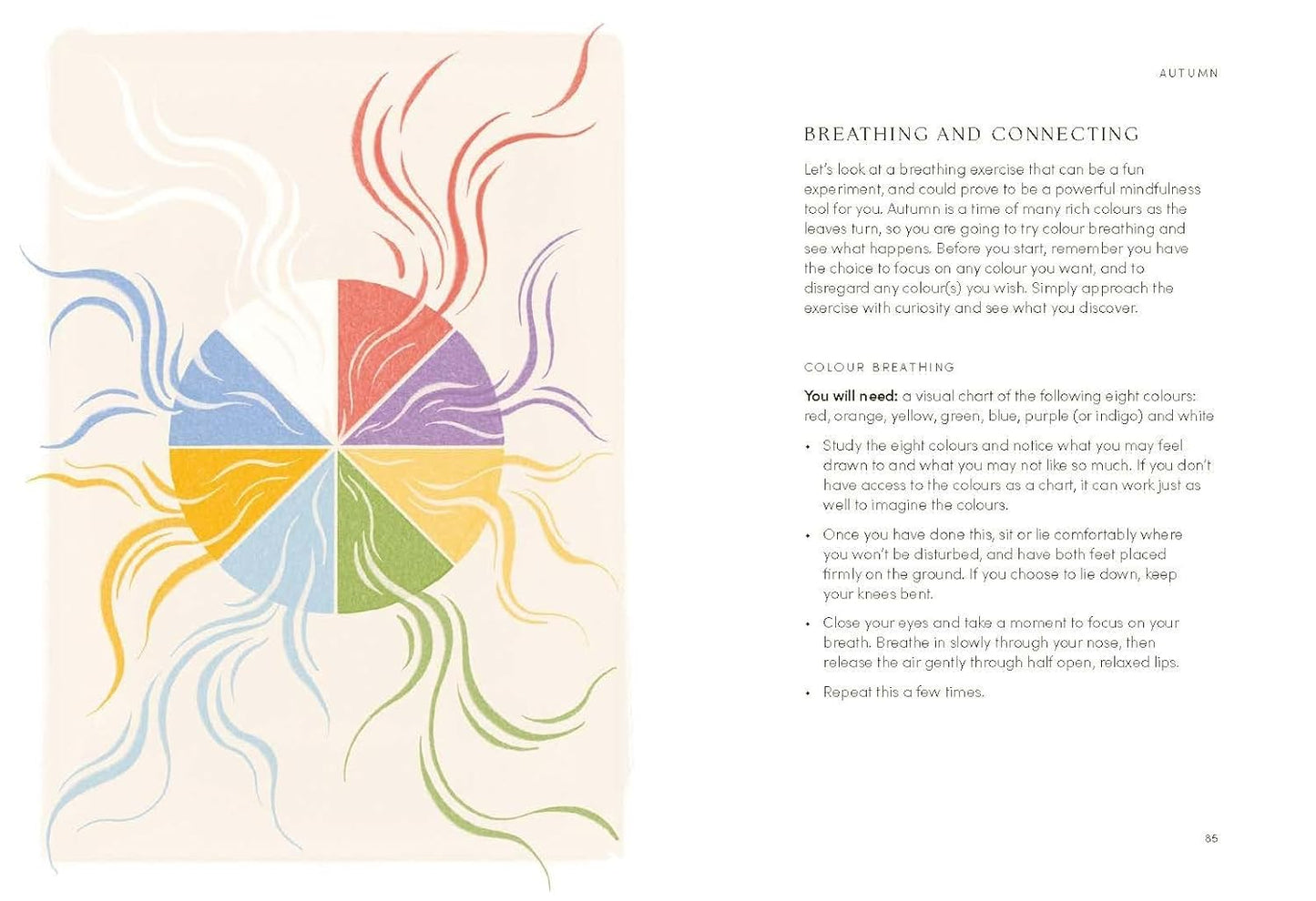 The Mindfulness Year