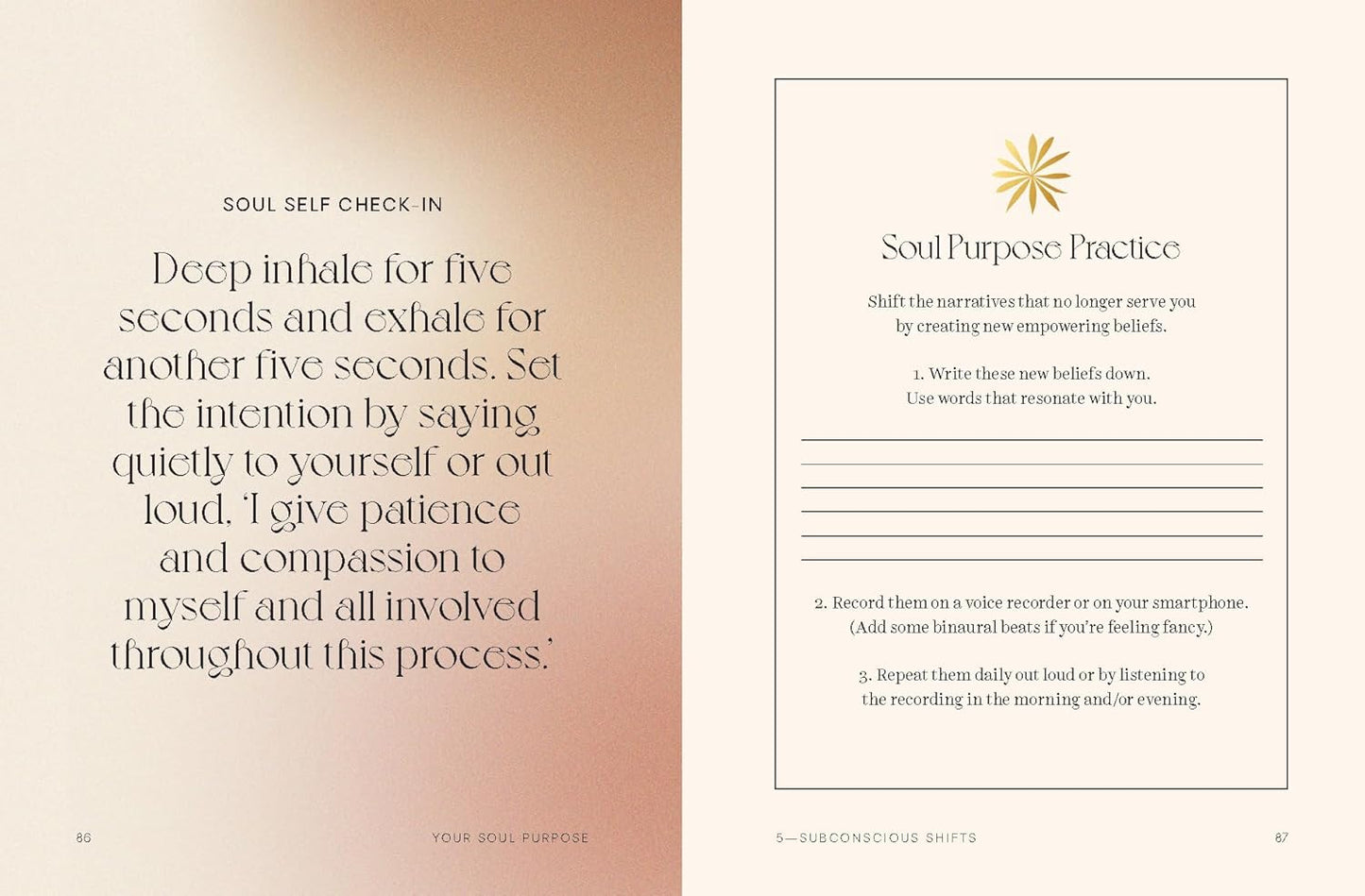 Your Soul Purpose
