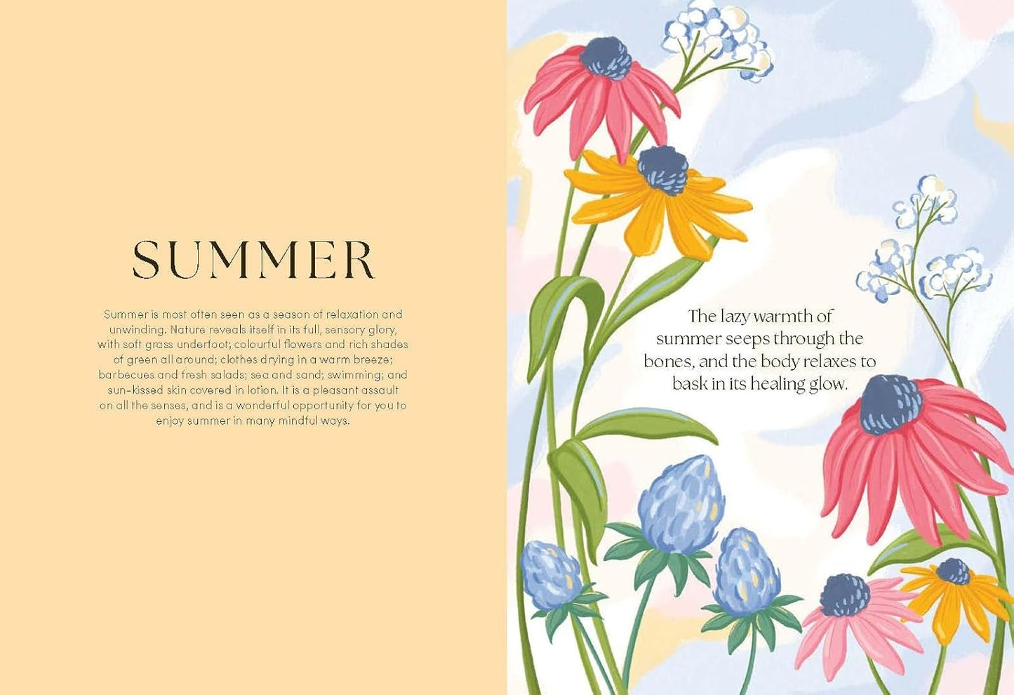 The Mindfulness Year