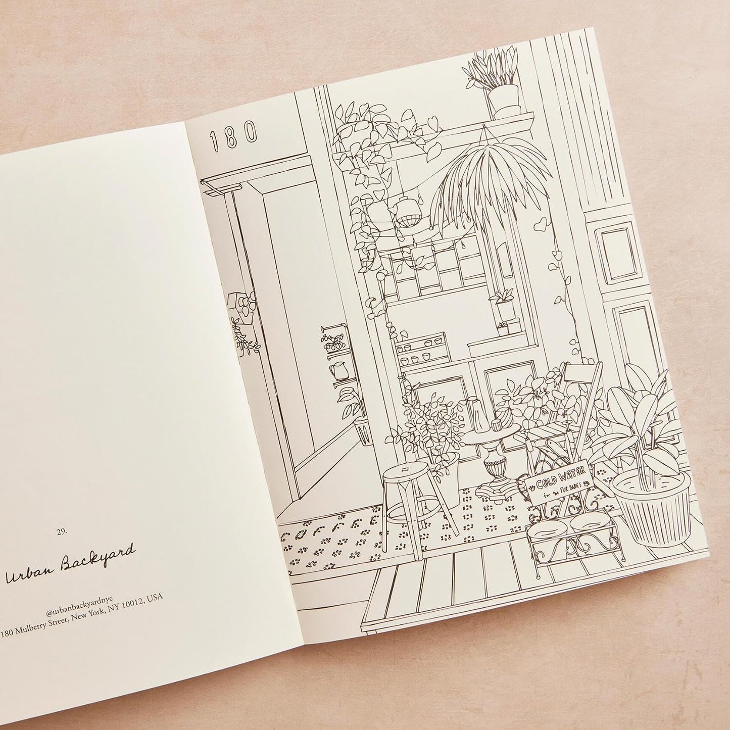 Zoé de Las Cases Coloring Book - New York