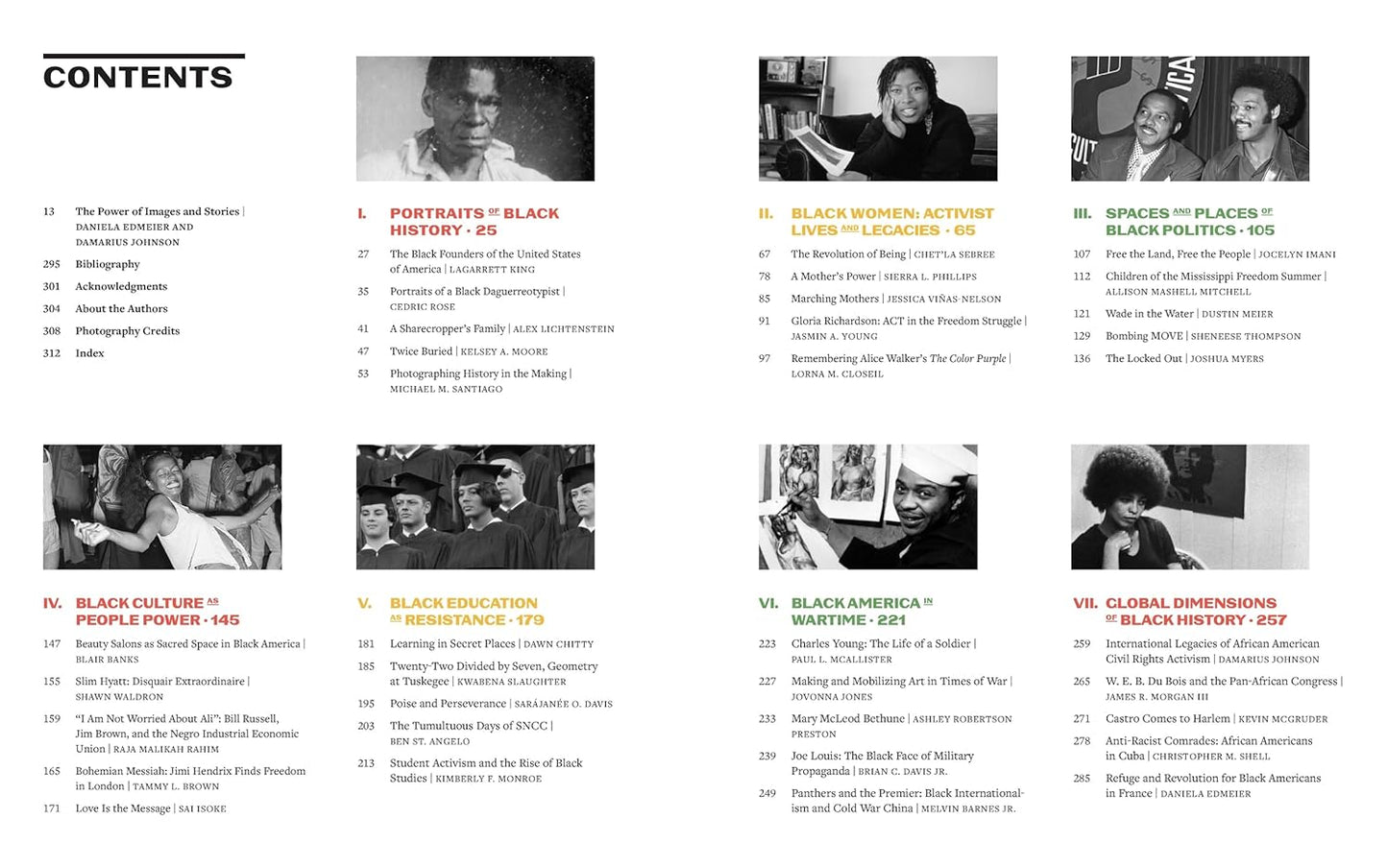 Picturing Black History by Daniela Edmeier