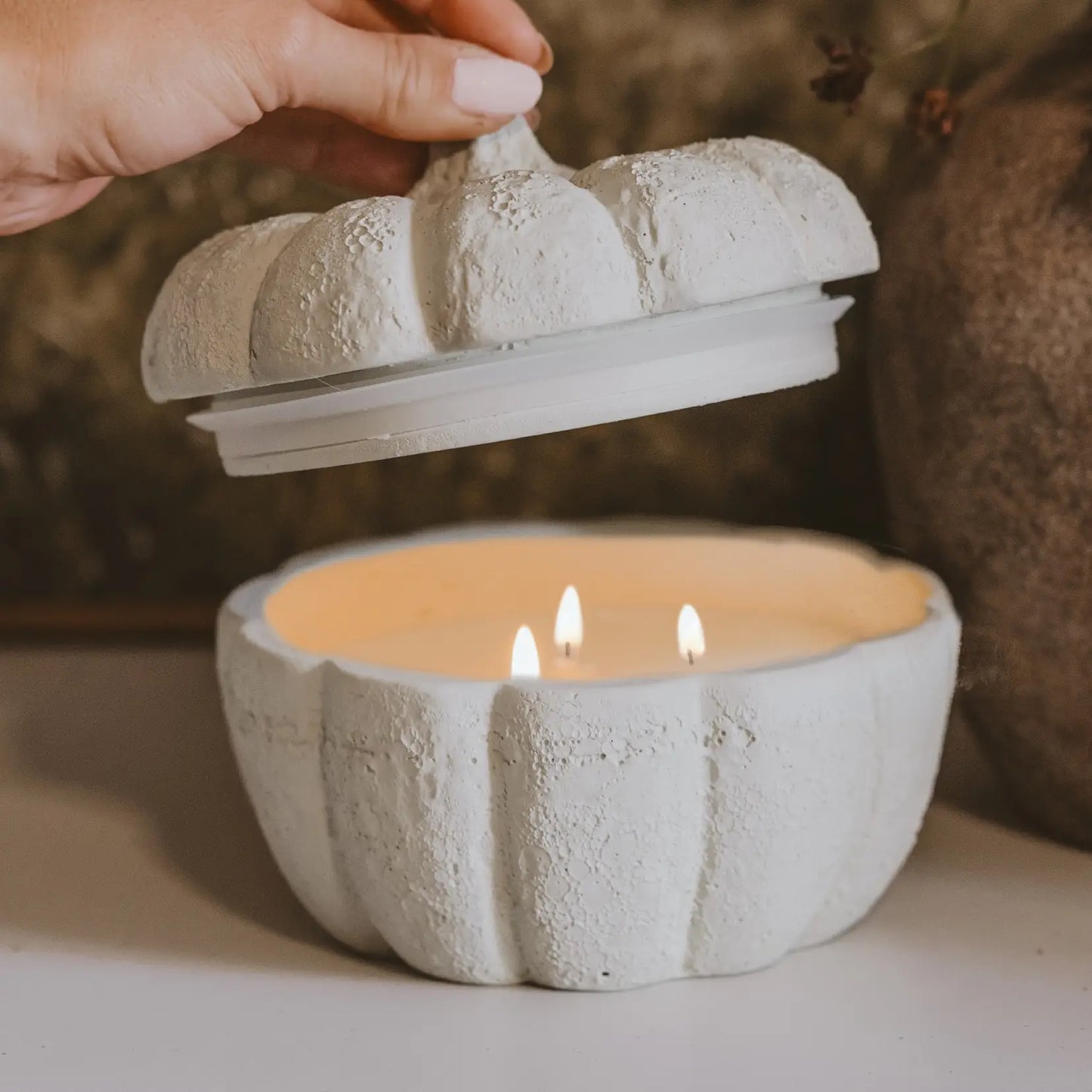 Cashmere & Vanilla Pumpkin Jar Candle (Concrete Vessel)