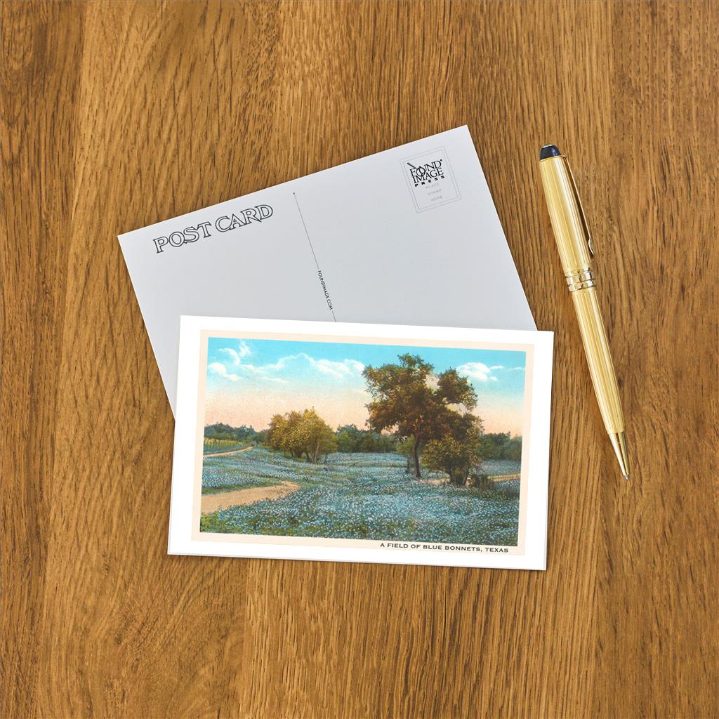 Field of Bluebonnets Postcard