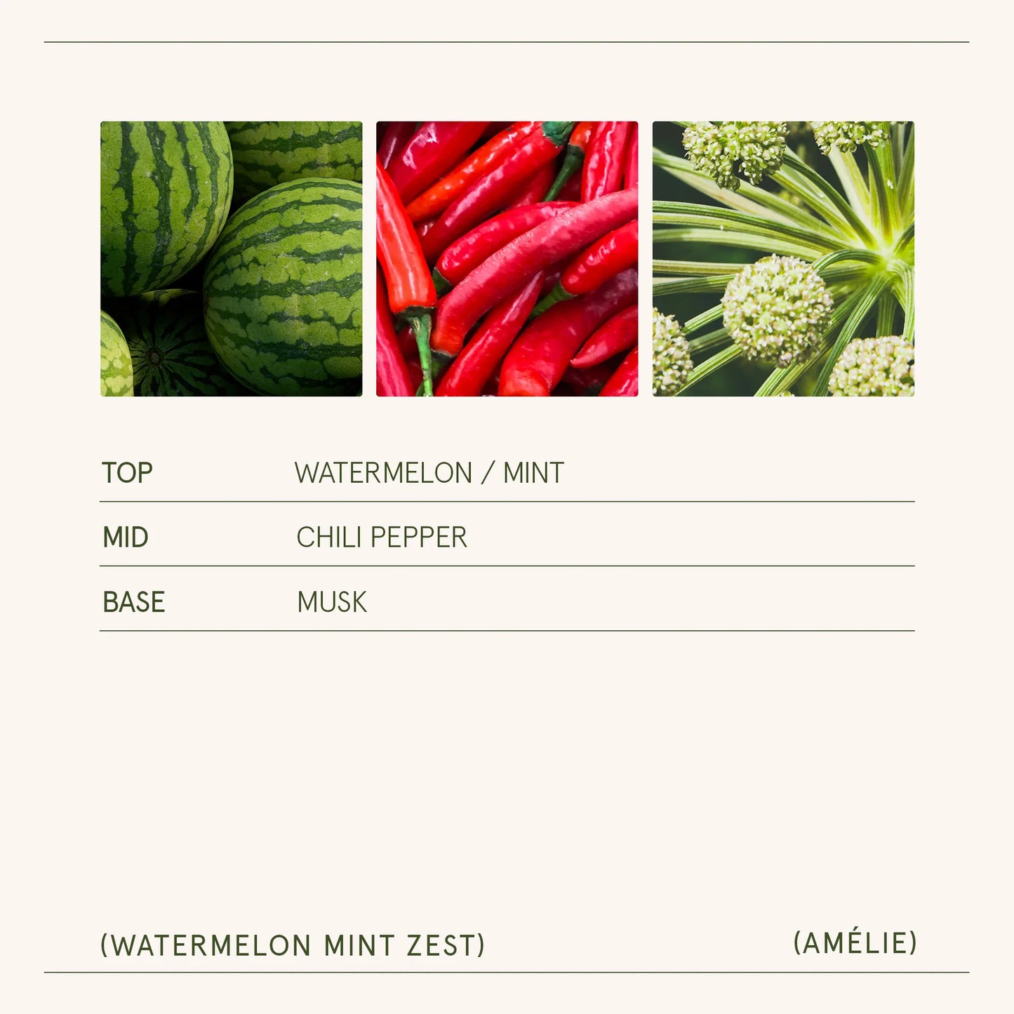 Watermelon Mint Zest Amélie Candle by La Jolie Muse