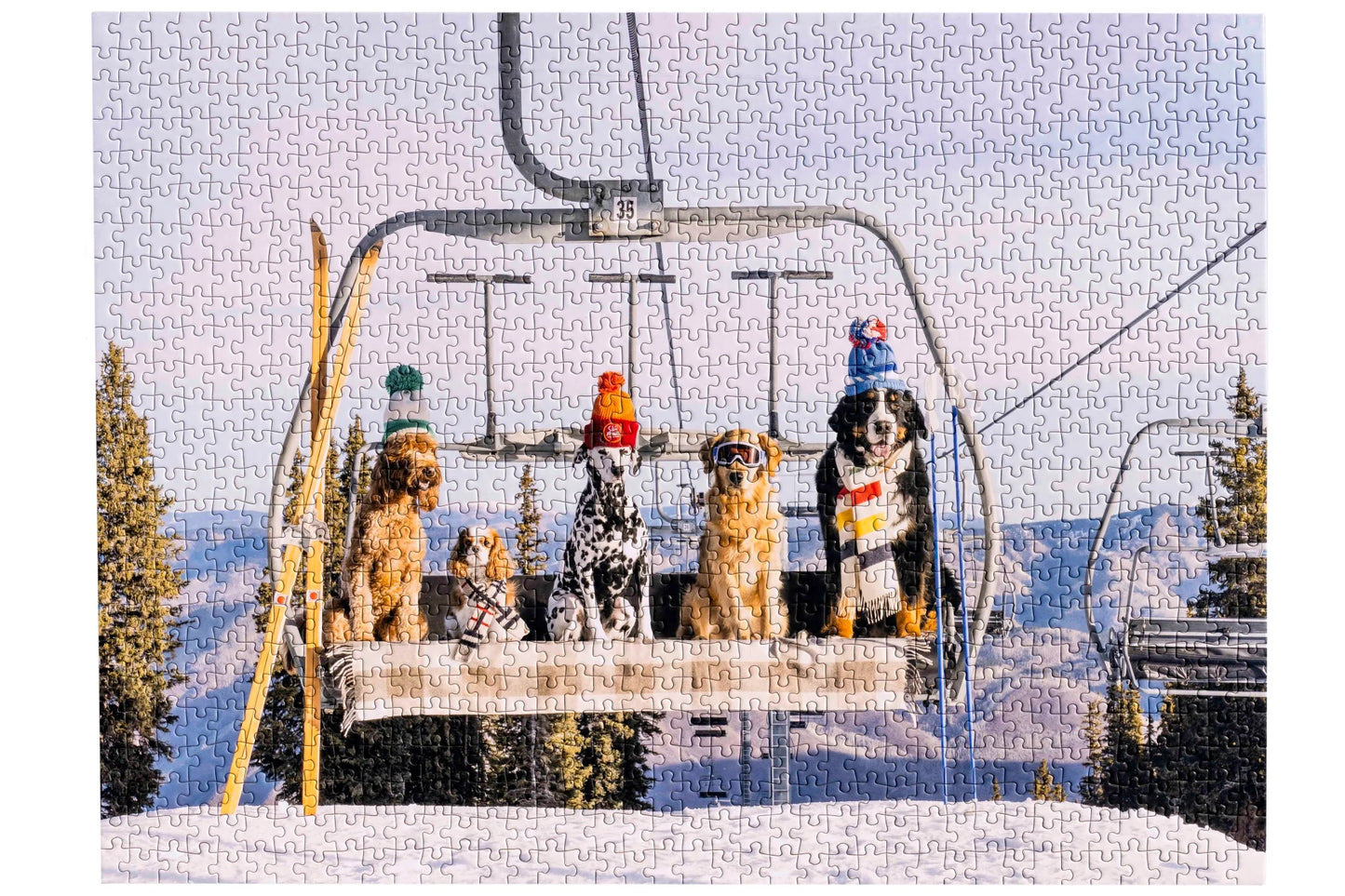 Gray Malin Aspen 1,000-Piece Puzzle