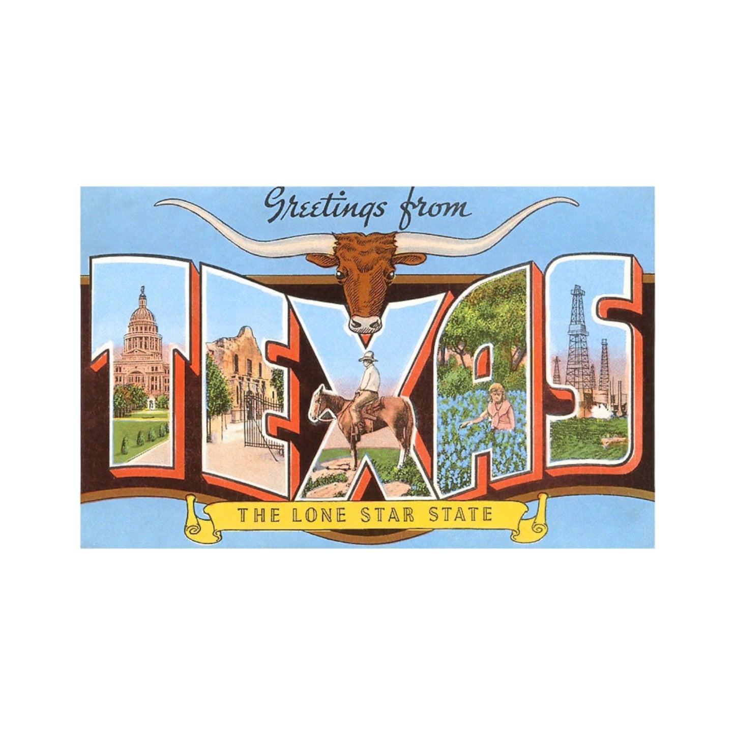 Greetings From Texas Longhorns Postcard by Found Image Press
