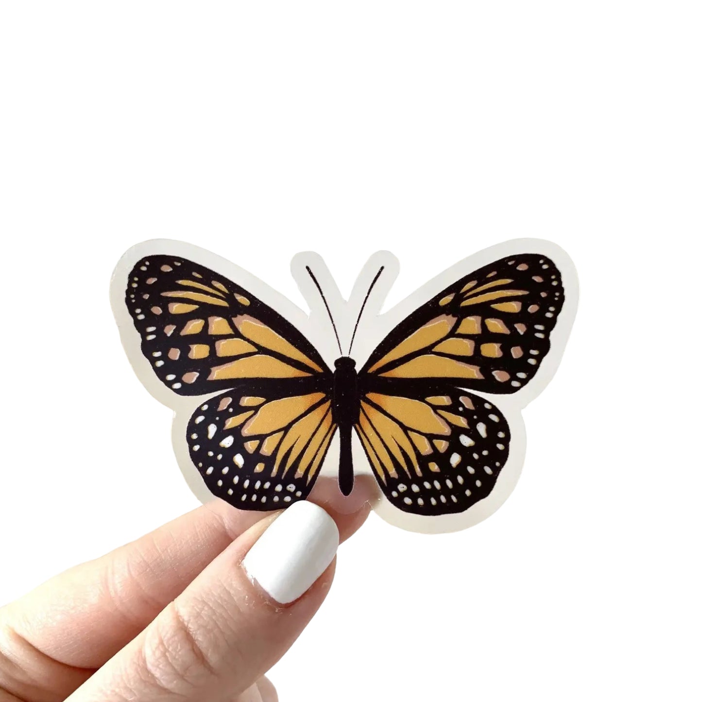 Painted Lady Butterfly Vinyl Sticker by Elyse Breanne Designs