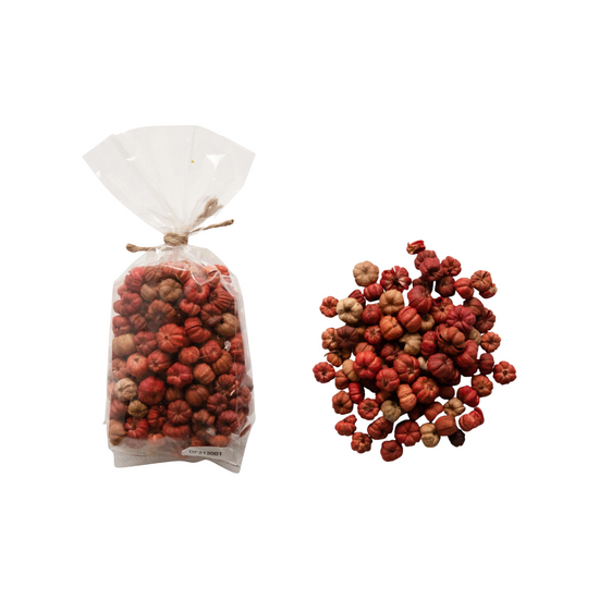 Dried Natural Peepal Pods by Creative Co-Op