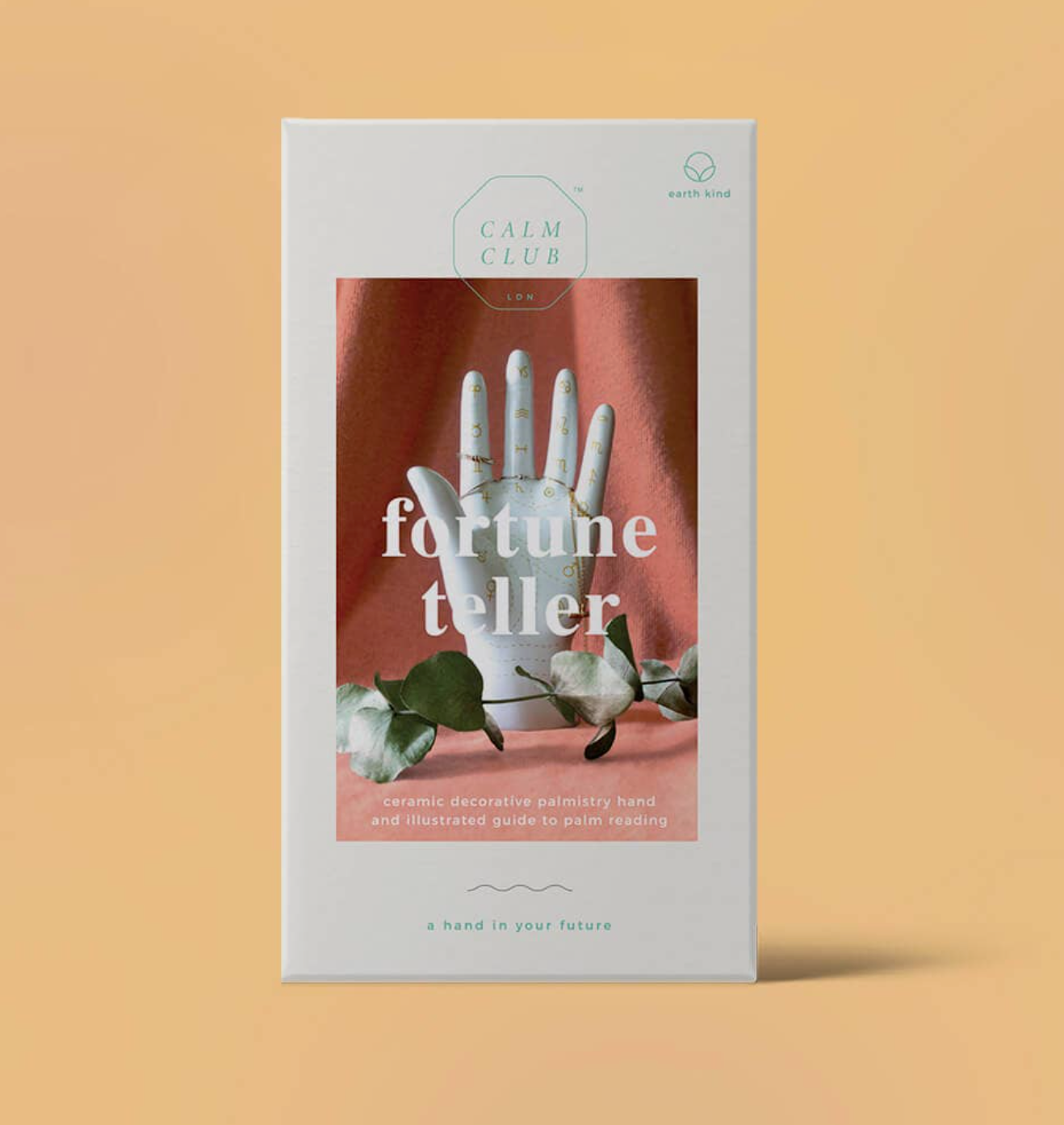 Fortune Teller Palm by Suck UK