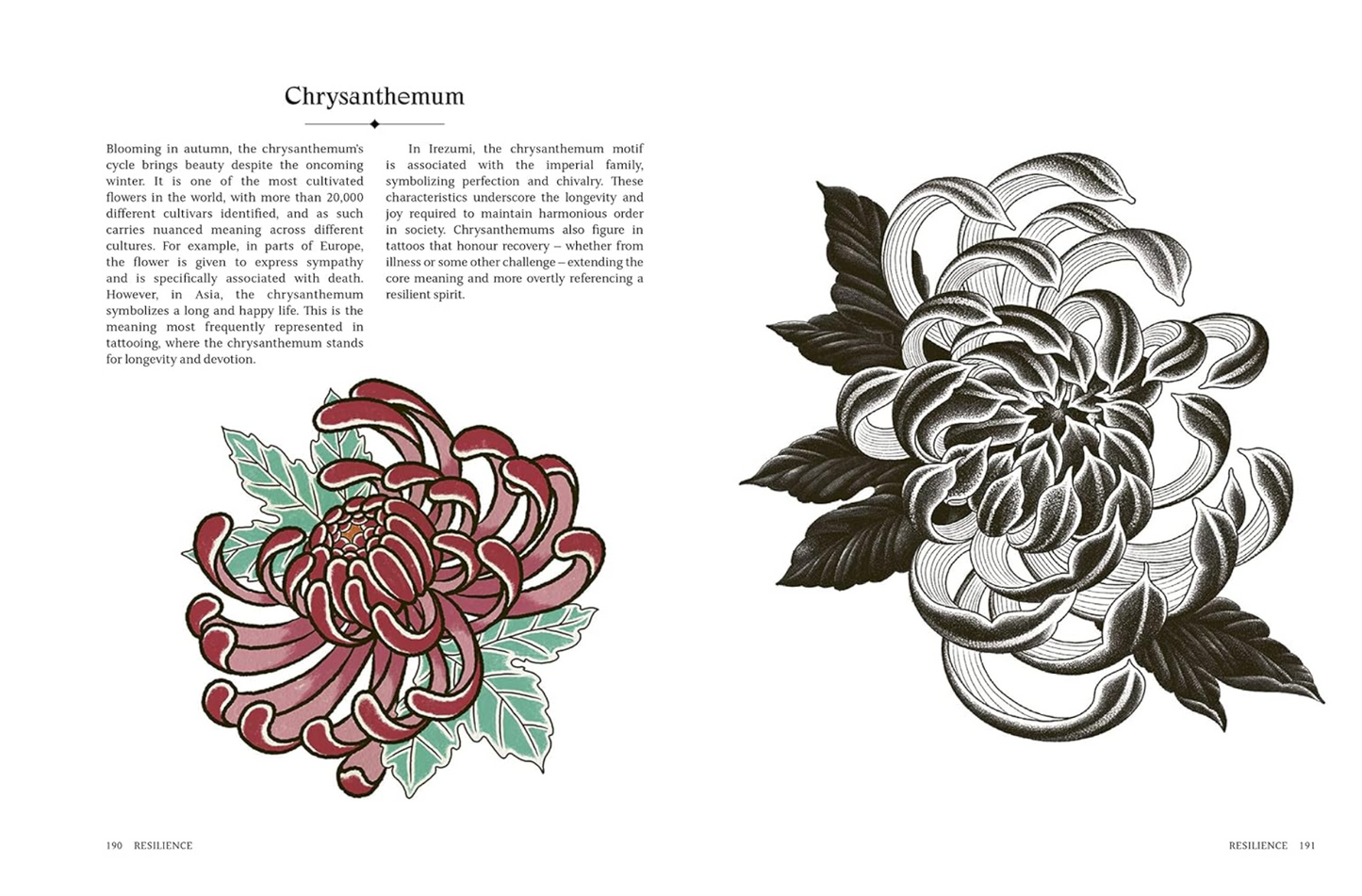 The Language of Tattoos by Olivia Munden