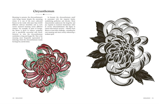 The Language of Tattoos by Olivia Munden