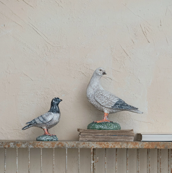 Large Perched Pigeon by Creative Co-Op