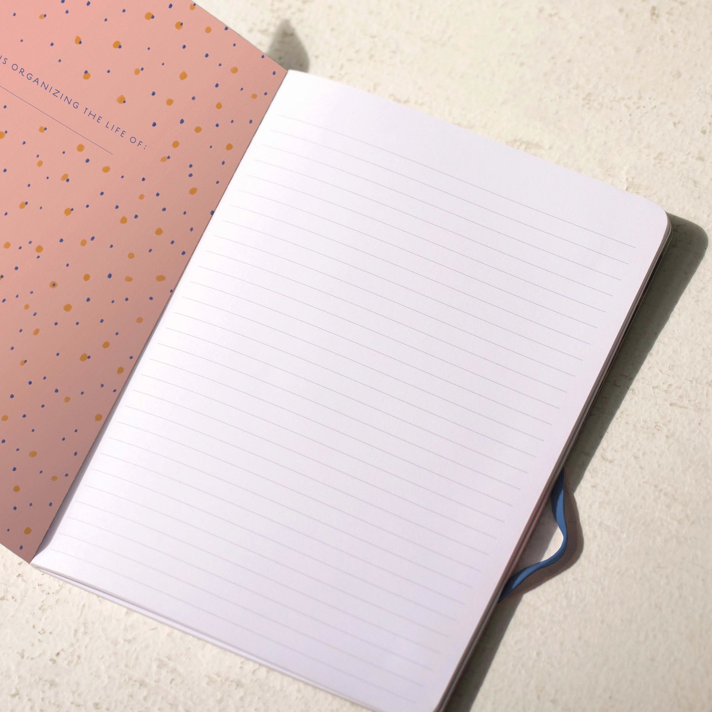 Dogs Notebook Set by Seedlings