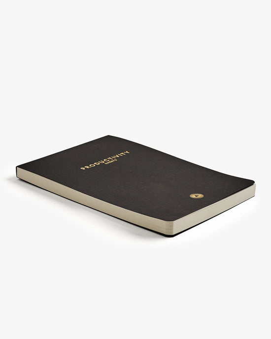 Daily Productivity Sheets by Intelligent Change