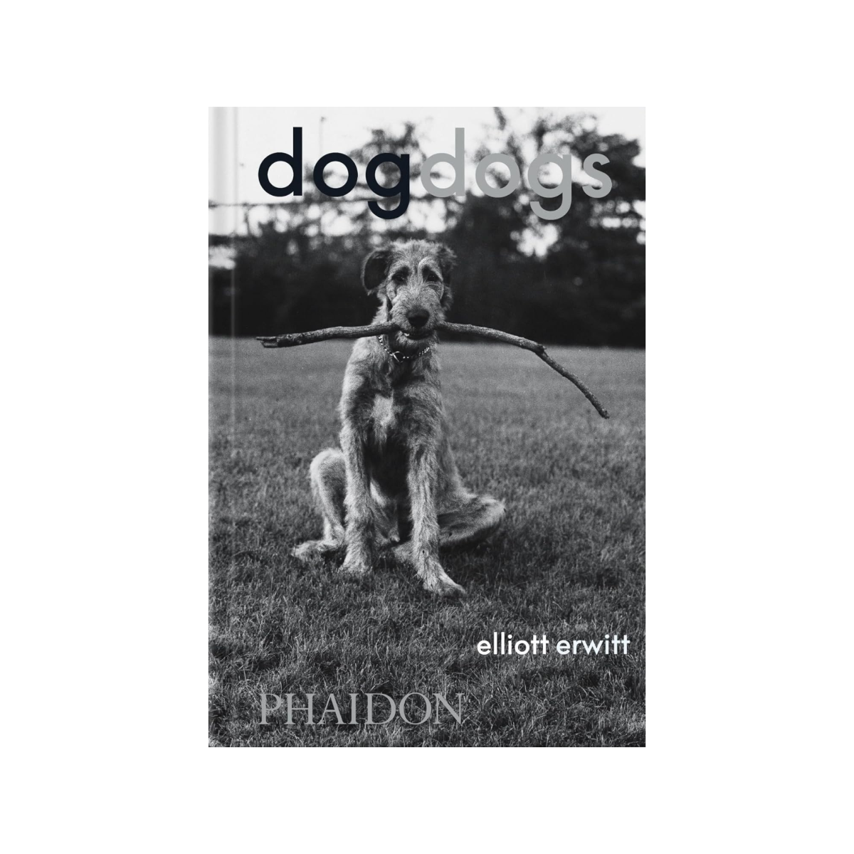 DogDogs
