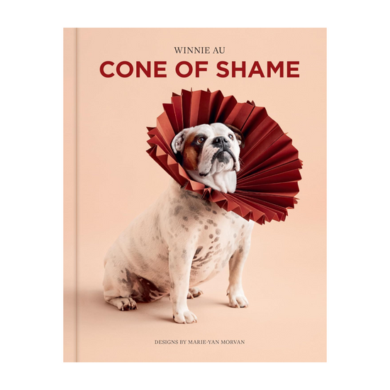 Cone of Shame by WInnie Au