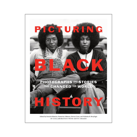 Picturing Black History by Daniela Edmeier