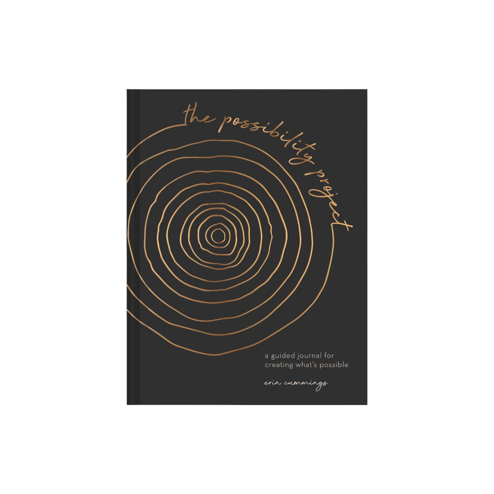 The Possibility Project Journal by Erin Cummings