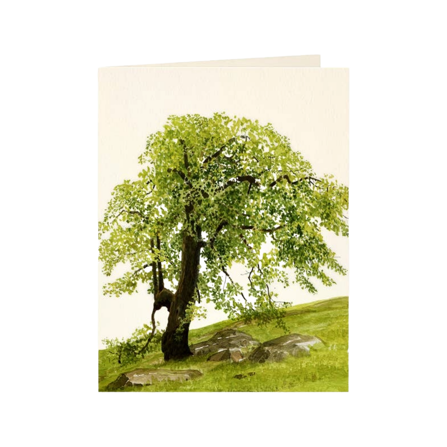 Oak Hill Everyday Card