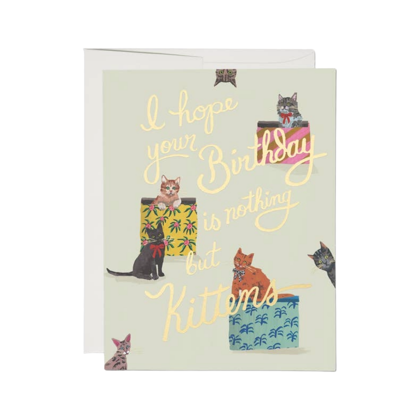 Nothing But Kittens Birthday Card