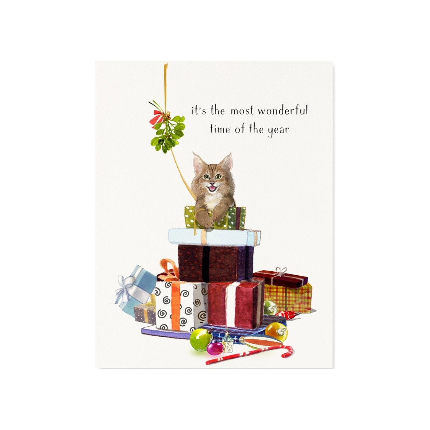 Feline Felicity Christmas Card