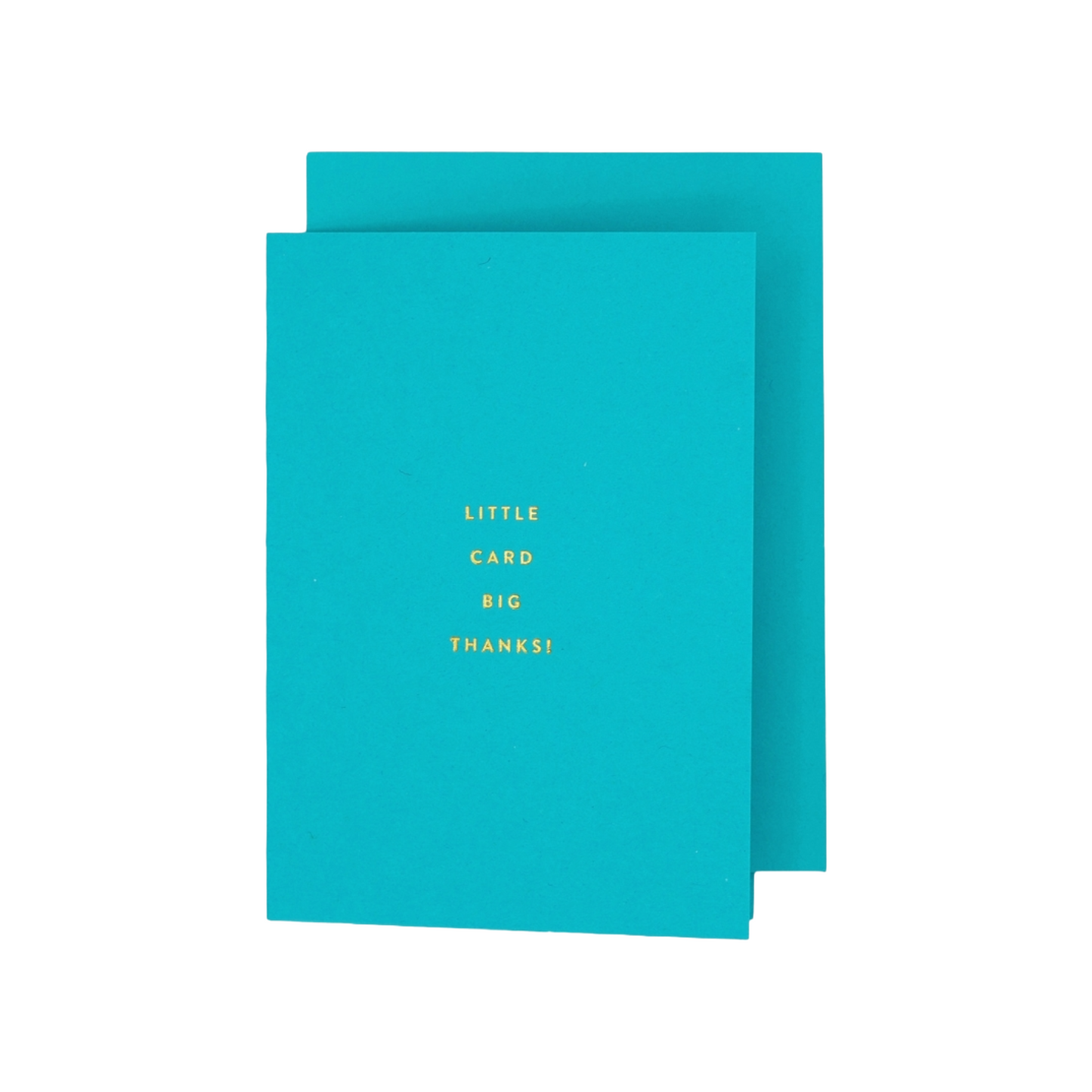 Little Card Big Thanks Card Set