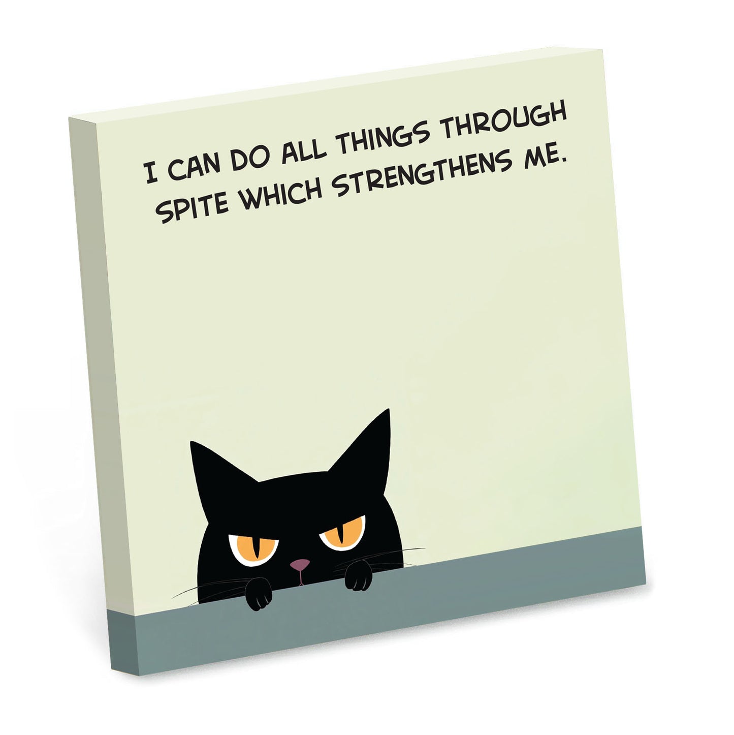 I Can Do All Things Through Spite Sticky Note Pad