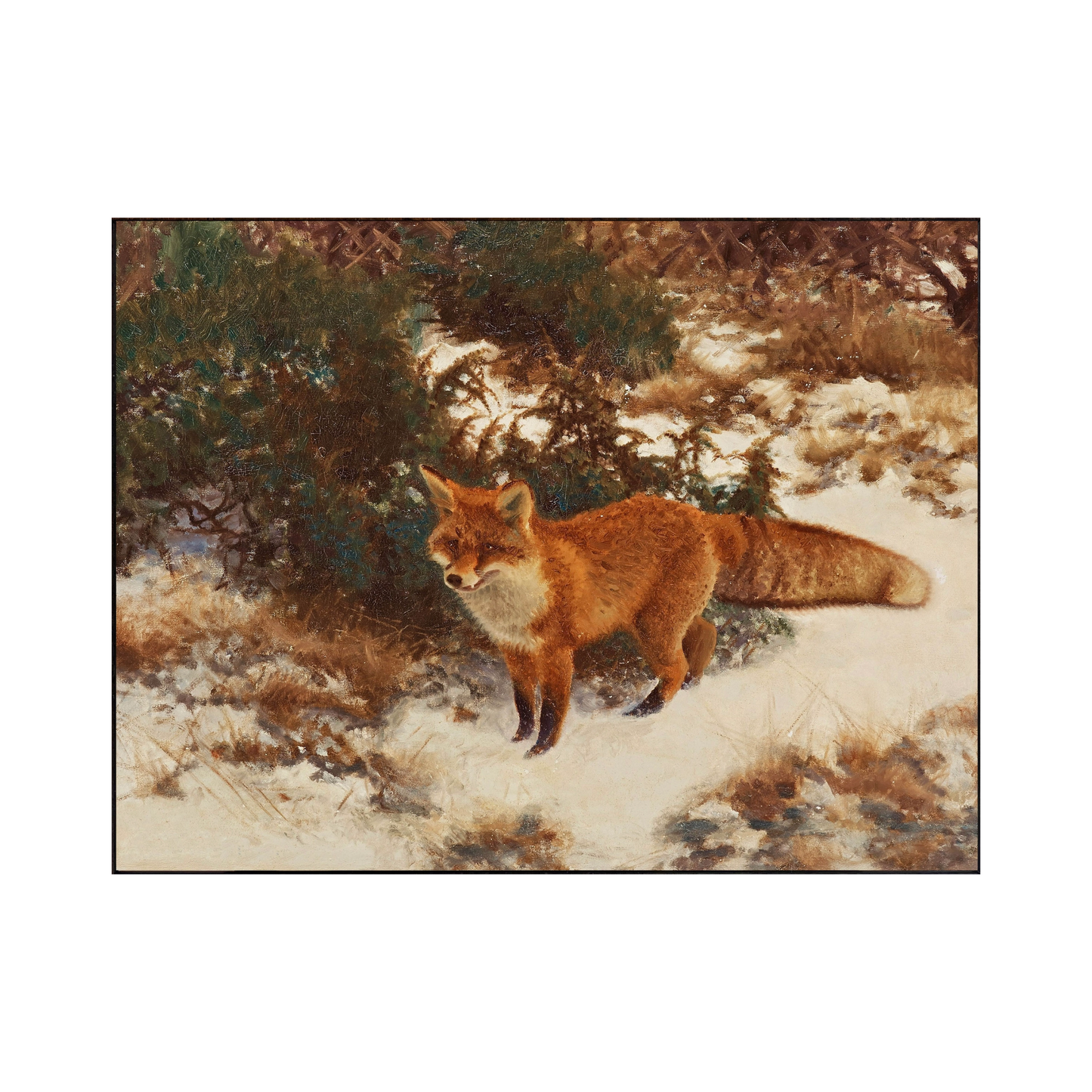 Red Fox Art Print, Framed