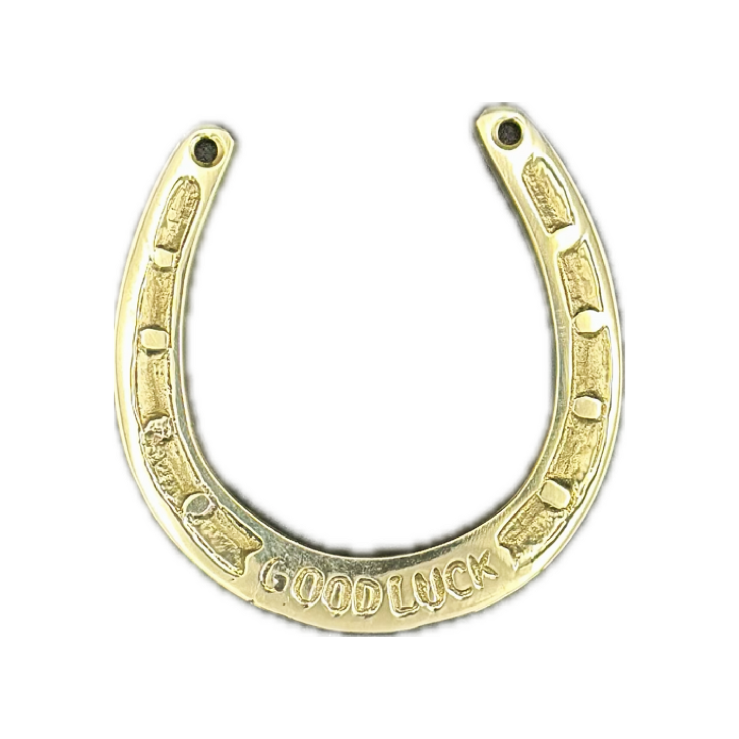 Good Luck Horse Shoe