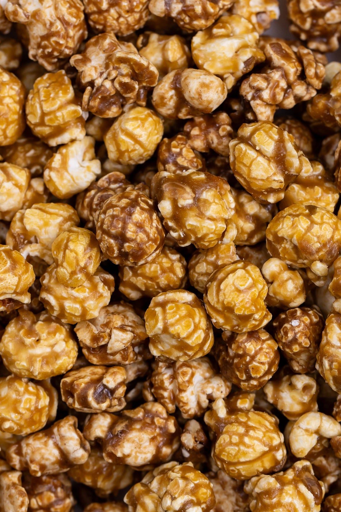 Poppy Holiday Salted Caramel Popcorn