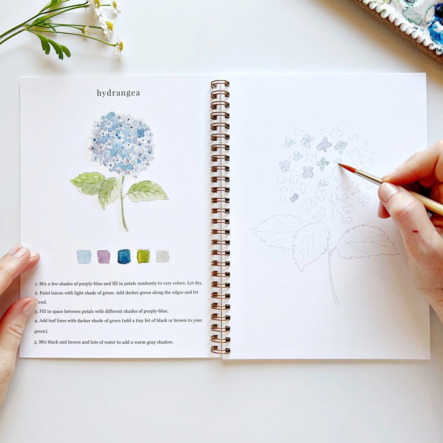 Flowers Watercolor Workbook by Emily Lex Studio