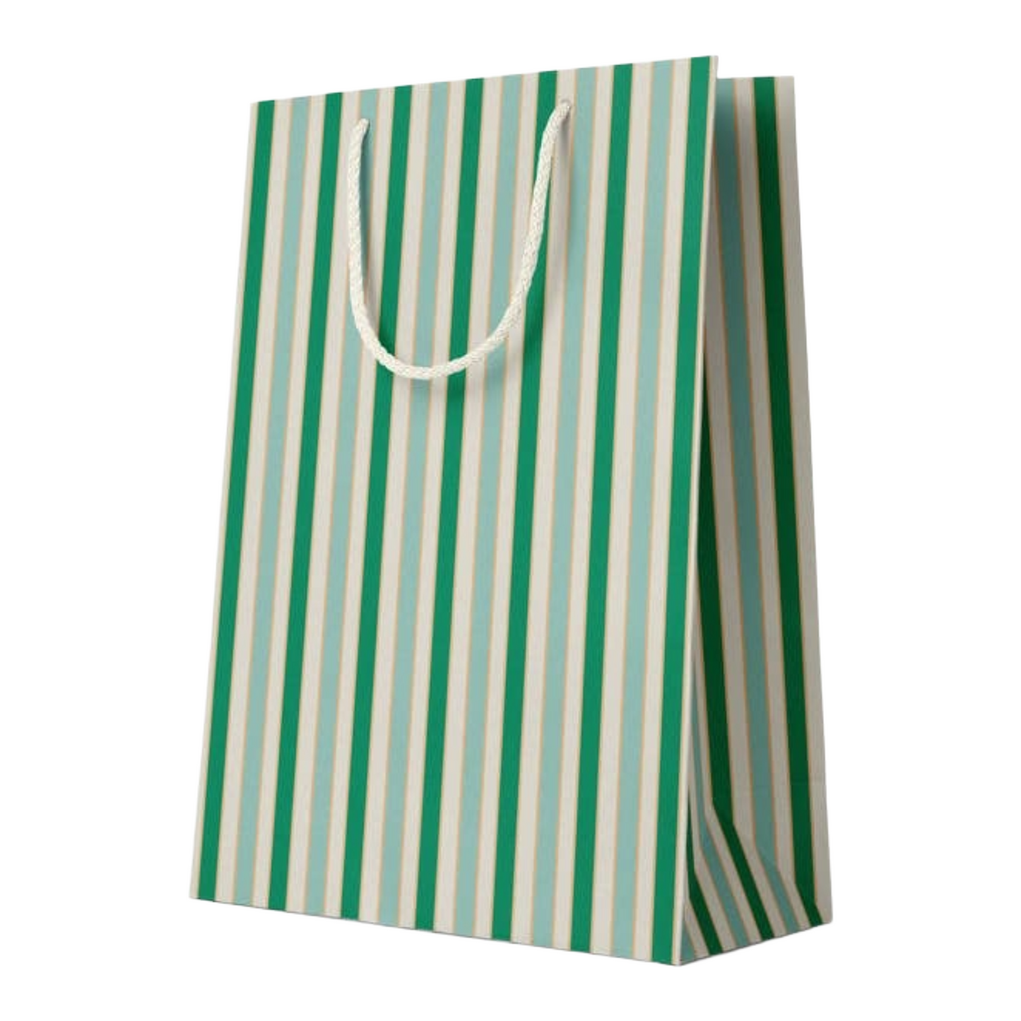 Large Everyday Stripe Gift Bag