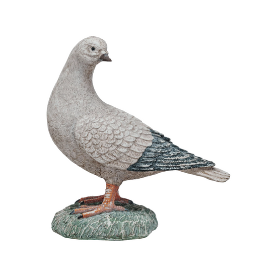 Large Perched Pigeon by Creative Co-Op
