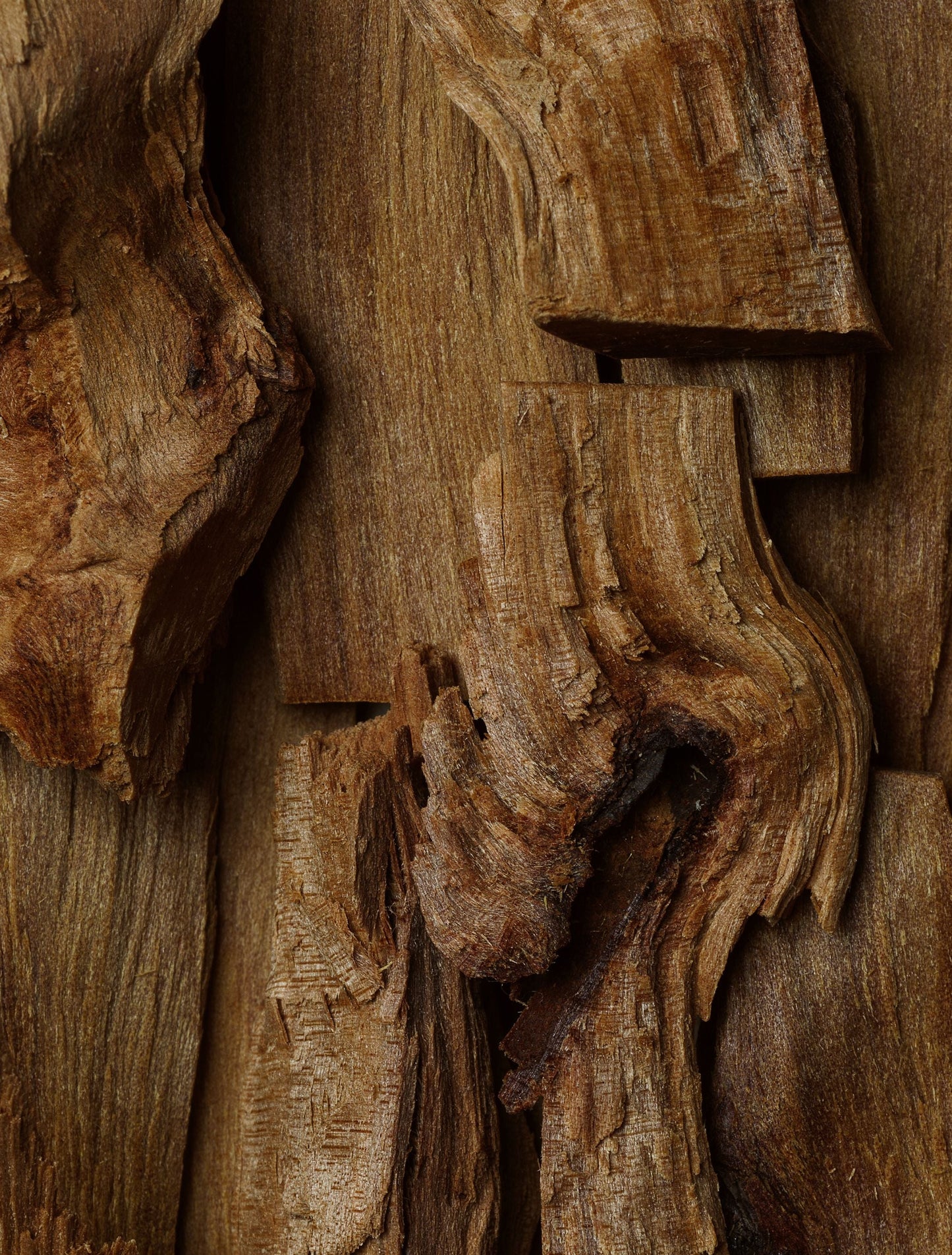 Naked Dance Extrait de parfum, 10 ml by Oddity