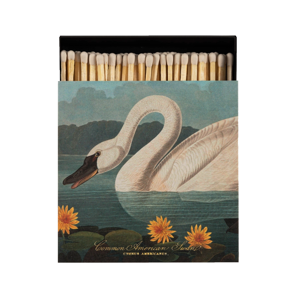 The Common American Swan Matchbox by Archivist Gallery