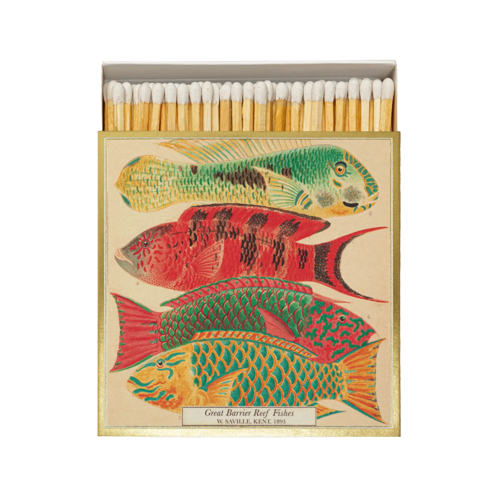 Natural History Museum Fish Matchbox by Archivist Gallery
